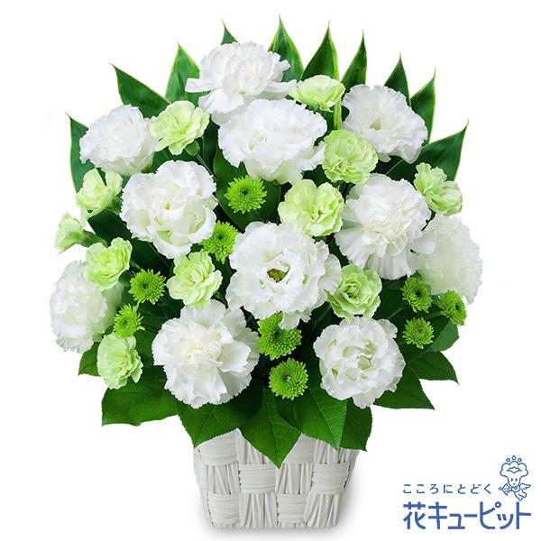 お供え・お悔やみの献花 仏花 供花 法要 枕花 お盆 お彼岸 四十九日 生花 翌日 花キューピットのお供えのアレンジメント :yr00-512457:インターネット花キューピット - 通販 - Yahoo!ショッピング お供え・お悔やみの献花 仏花 供花 法要 枕花 お盆 お彼岸 四十九日 生花 翌日 花キューピットのお供えのアレンジメント :yr00-512457:インターネット花キューピット - 通販 - Yahoo!ショッピング