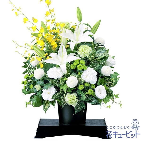 ユリやオンシジウムなど高級感のある花々を、たっぷりお届けできる供花台付きアレンジメントです。ホワイト・グリーンでまとめたデザインは落ち着きがあり、故人への想いをしっかり伝えることができます。524178高級感のある花々が故人への想いを伝えま...