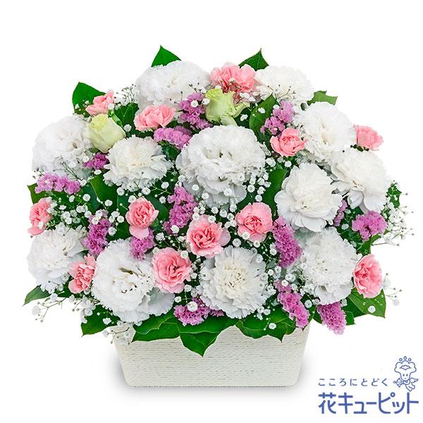 ふんわりとしたシルエットのトルコキキョウに、優しげなピンク系の花をあわせたお供えのアレンジメントです。やわらかい色合いのフラワーギフトが、故人を偲びご遺族の心に寄り添います。色の入ったアレンジメントは、四十九日法要以降に贈るのがよいとされて...