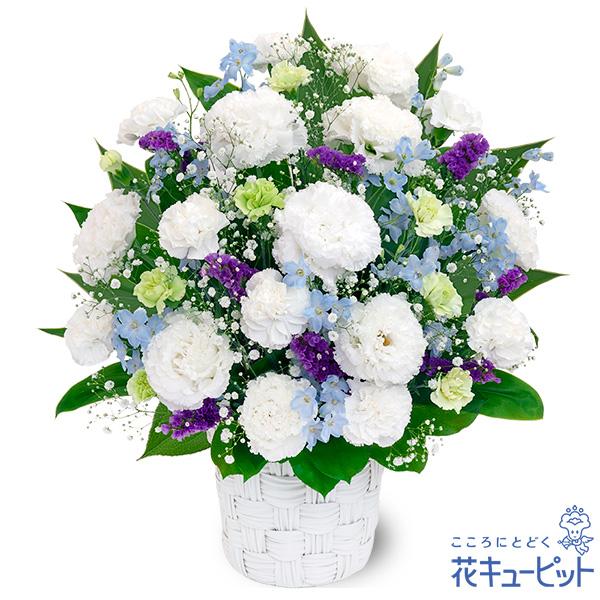 ふんわりと柔らかいシルエットのトルコキキョウに、爽やかな青系の小花をあわせたお供えのアレンジメントです。落ち着いた色合いのフラワーギフトが、故人を偲びご遺族の心に寄り添います。色の入ったアレンジメントは、一周忌法要といった四十九日以降の贈り...