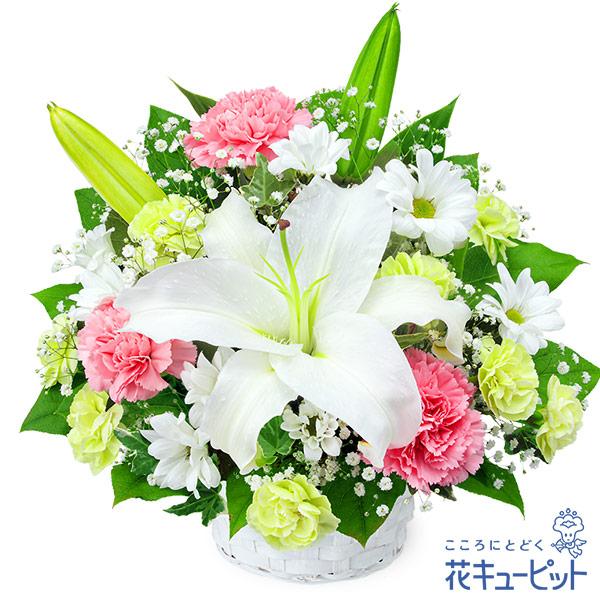 ユリを中心に仕上げたお供えのアレンジメントです。あたたかみのあるピンクのお花を添えて仕上げました。ご自宅にも飾りやすいサイズ感となっています。525083あたたかみのあるピンクのお花を添えて　お悔やみのお花を地域のしきたりにあわせお花のプロ...