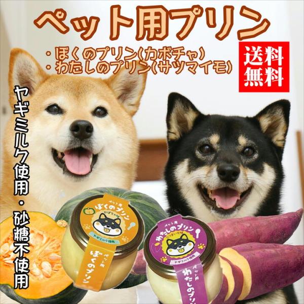 犬用　おやつ等　まとめ売り 犬用 おやつ 誕生日】常温 犬用プリン 6個セット カボチャ サツマイモ