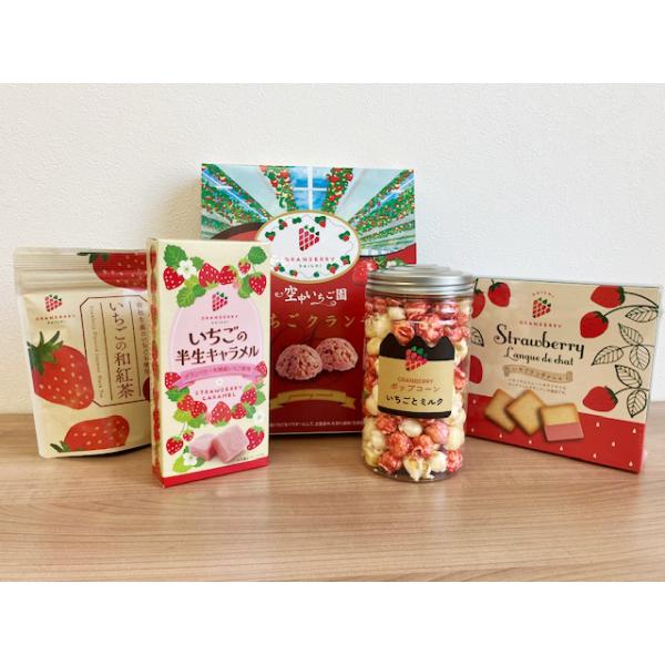 ibarakisense_ibsf0229