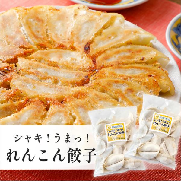 茨城県産れんこん使用　シャキ！うまっ！れんこん餃子　冷凍餃子　20個入り×2袋　国産　ギョーザ　茨城県産　送料込み　