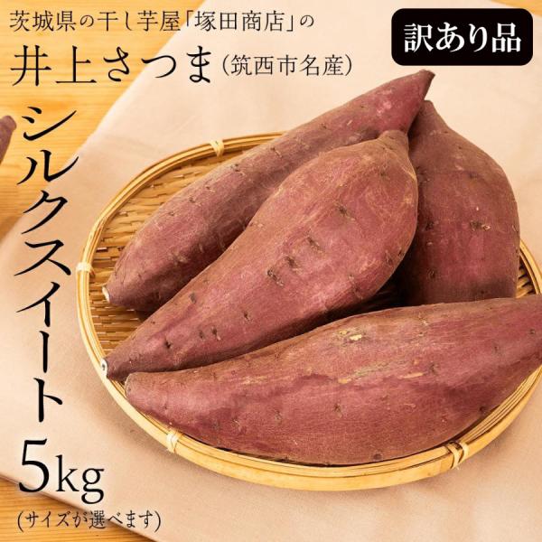 塚田商店 ＼期間限定／訳あり 井上さつま シルクスイート 5,000g