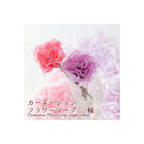 カーネーション フラワーソープ 一輪 60個販売 まとめ割 カーネーションフラワーソープ 母の日 Y211 16 Jm506 30 イベント用品パラダイス 通販 Yahoo ショッピング