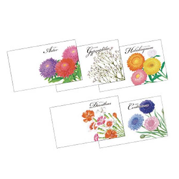 横型イラスト花の種子 笑顔の花を咲かせる 心温まるタネ 花の種100個セット販売 総付け景品 Y539 21 428k8 イベント用品パラダイス 通販 Yahoo ショッピング