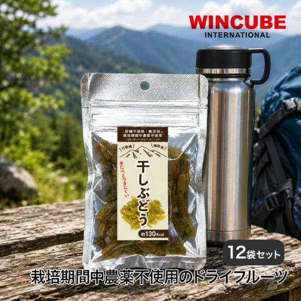(レビュー特典あり) ドライフルーツ 干しぶどう 40g 12袋セット 4562414290683-set 携行食 携帯食 非常食 スポーツ キャンプ アウトドア