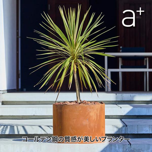 エープラスデザイン コールテン鋼 パティナシリーズ レイズドラウンドプランター φ600 AHL-GE0605 レイズドベッド 大型 おしゃれ 円形