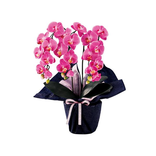 SC触媒加工 ミニ胡蝶蘭三本立ち（アーティフィシャルフラワー） ダークラベンダー minipo-dl C196-079誰かの為に贈り物を選ぶ時には、お相手の方の笑顔を想像してみてください。そうすれば、きっとぴったりのプレゼントが思い浮かぶは...