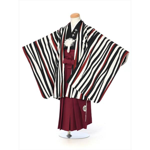 七五三レンタル 5歳男児七五三AO5049/七五三着物/レンタル七五三/753レンタル/袴セット/七五三/５歳/五歳/羽織袴/撮影用衣裳/5歳男の子/5才/男児着物/白黒赤/縞/往復送料無料/ ●必ず下の商品情報を表示いただきご予約状況をご...