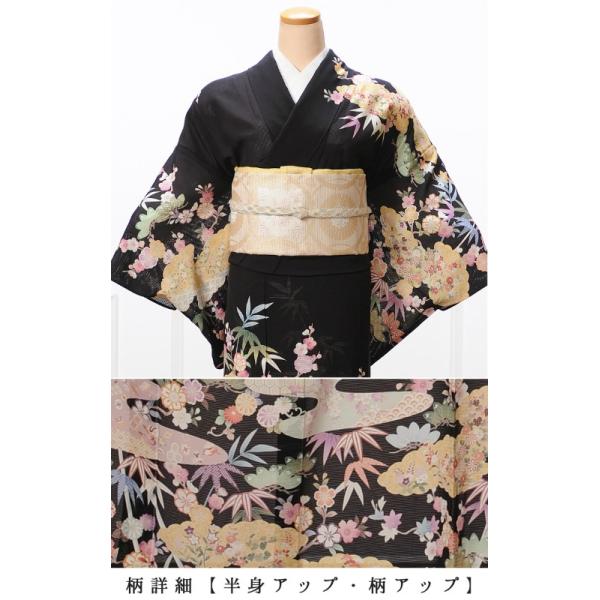 訪問着レンタル夏用正絹訪問着レンタルフルセット夏用訪問着結婚式パーティ夏駒絽７月 ９月上旬黒地雲取り草木花150ｃｍ 170ｃｍ位まで