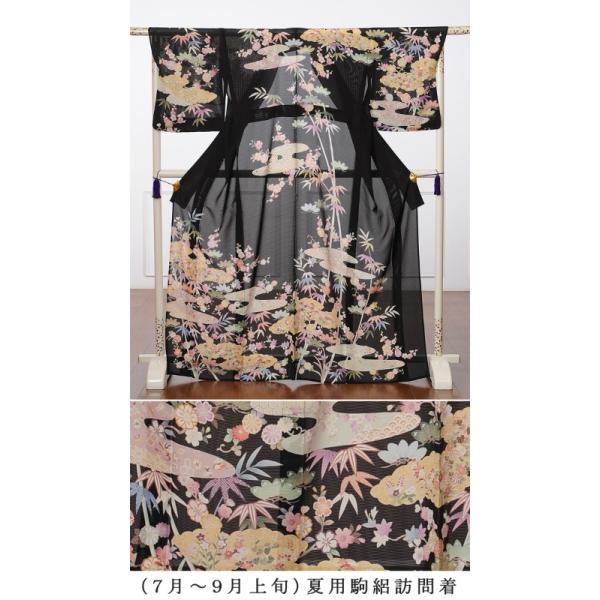 訪問着レンタル夏用正絹訪問着レンタルフルセット夏用訪問着結婚式パーティ夏駒絽７月 ９月上旬黒地雲取り草木花150ｃｍ 170ｃｍ位まで