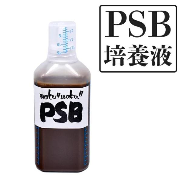 PSB培養液(光合成細菌の餌) メダカ 水質 改善 : いぶき 指宿