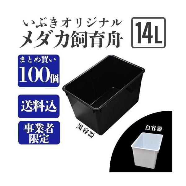 送料込】メダカ舟 黒容器 白容器 14L 100個 ※事業者限定 水槽 送料込】メダカ舟 黒容器 白容器 14L 100個 ※事業者限定 水槽