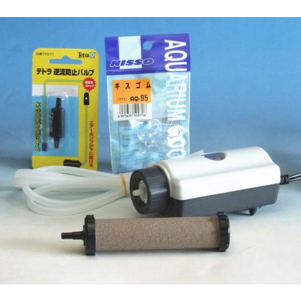 ԂGAXg[@QR×POOPOO@X^[^[Zbg