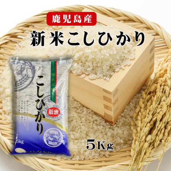 コシヒカリ 2025 新米 5kg お米 令和7年産 米 こしひかり 鹿児島