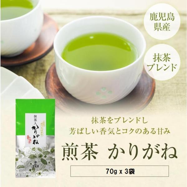 お茶 煎茶 鹿児島 抹茶入りかりがね 70g×3袋 煎茶 緑茶 かりがね茶 セット 美老園