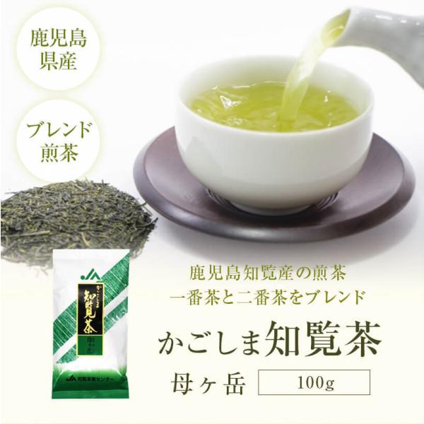 お茶 煎茶 知覧茶 母ヶ岳 100g 鹿児島 緑茶 JA 茶