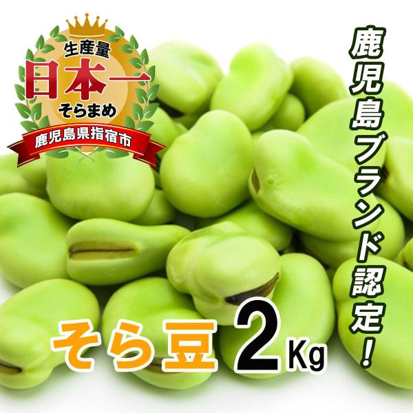 鹿児島県はそら豆の生産量が全国1位の県です。なかでも指宿産のそら豆は平成10年5月に「かごしまブランド」として認められた、品質・安全ともに高い水準のそら豆です。指宿の温暖な気候と豊かな自然に育まれた、新鮮なそら豆を是非ご賞味くださいませ。鹿...