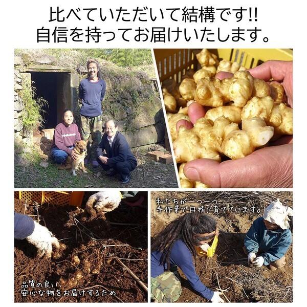 菊芋サプリ イヌリン サプリ ダイエット サプリ 菊芋の効能 イヌリン効果 ぽっちゃり糖質もお任せダイエット 008 アイシー製薬株式会社 通販 Yahoo ショッピング