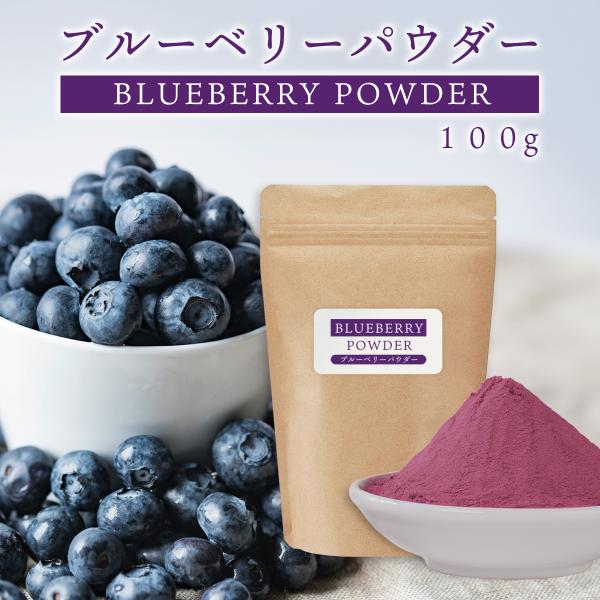 ブルーベリーパウダー 100g ブルーベリーパウダー 粉末 スプレードライパウダー 果汁 ポーランド産 ヨーグルト スムージー ジュース お菓子作り 材料 ビタミンE