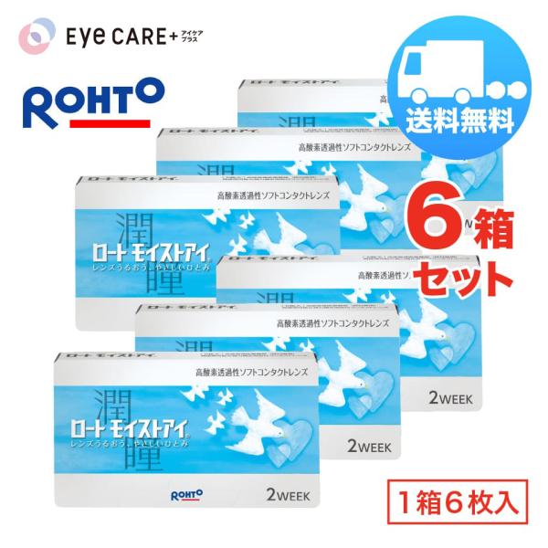 ロート モイストアイ×6箱セット（1箱6枚入り） ROHTO 2週間使い捨て ソフトコンタクトレンズ メール便 送料無料 爆買