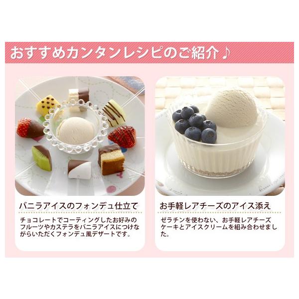 ハーゲンダッツ 業務用アイス２lバルク 3個で送料無料 Buyee Buyee 日本の通販商品 オークションの代理入札 代理購入