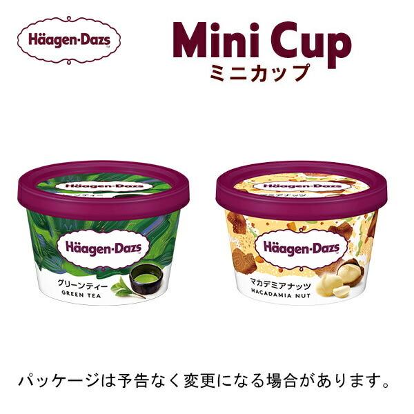 Ε ~Mtg XC[c ACX MtgΉ n[Q_bc ~jJbv12Zbg O[eB/}Jf~Aibc e6