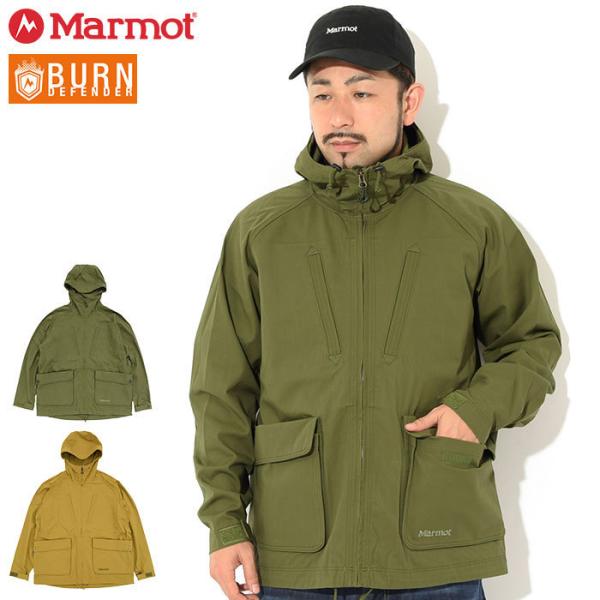 icefield_mar-tomsjk08