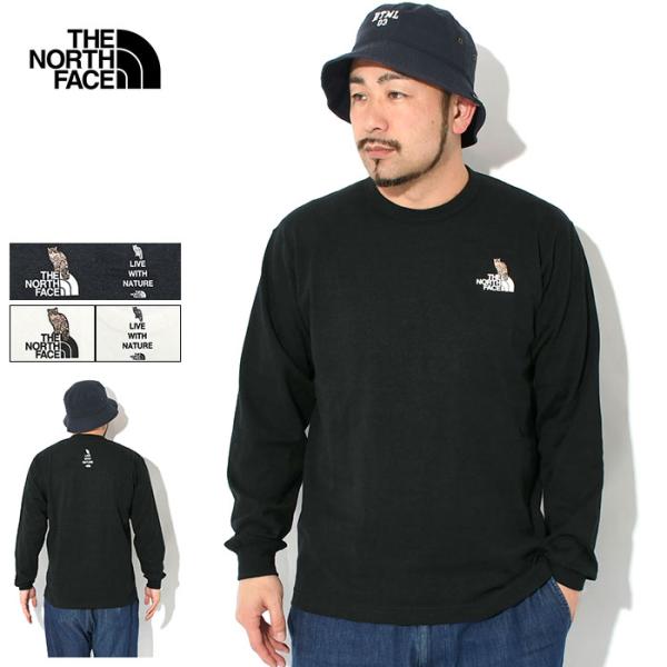 icefield_nor-nt32533