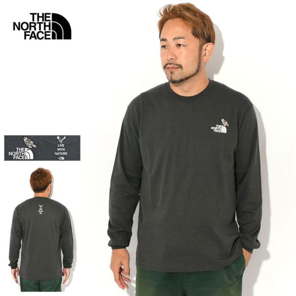 icefield_nor-nt82536