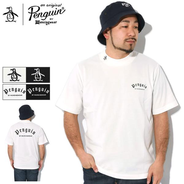 icefield_pbm-mlmxjc02