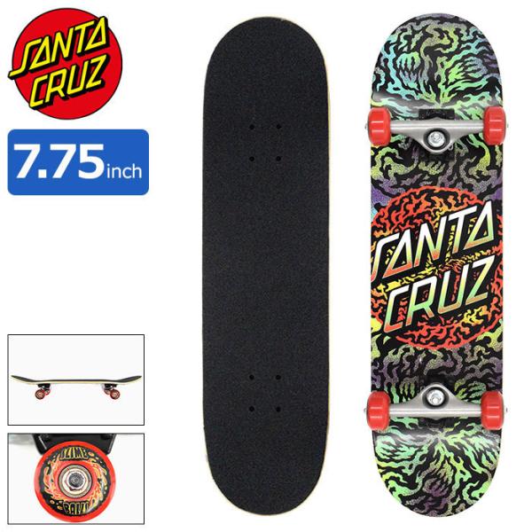 SANTA CRUZ サンタクルーズ スケボー スケートボード コンプリート