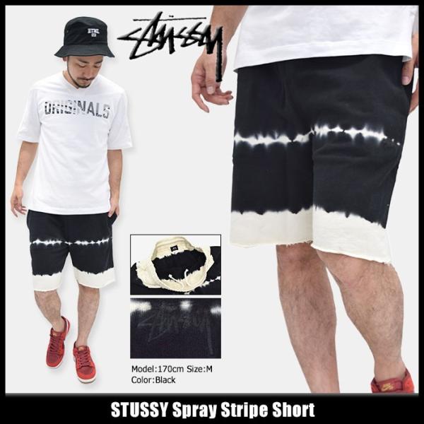 STUSSY ステューシー ハーフパンツ メンズ Spray Stripe(stussy short