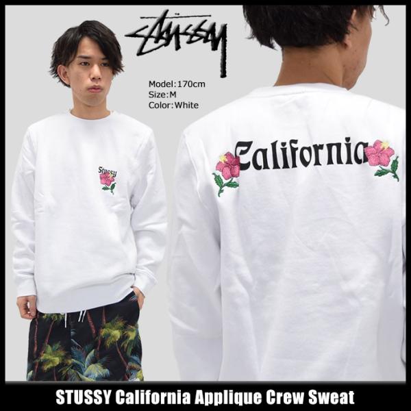 stussyトレーナー ☆人気☆【Stussy】☆8 BALL ZIP HOODIE PIGMENT DYED☆BLACK