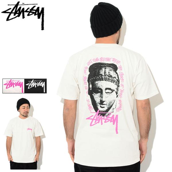 STUSSY（ステューシー） Tシャツ 半袖 メンズ & レディース Young