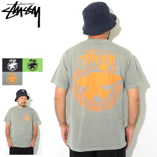 Stussy Sports 100% Tee ステューシー Tシャツ icefield_stu-1904795