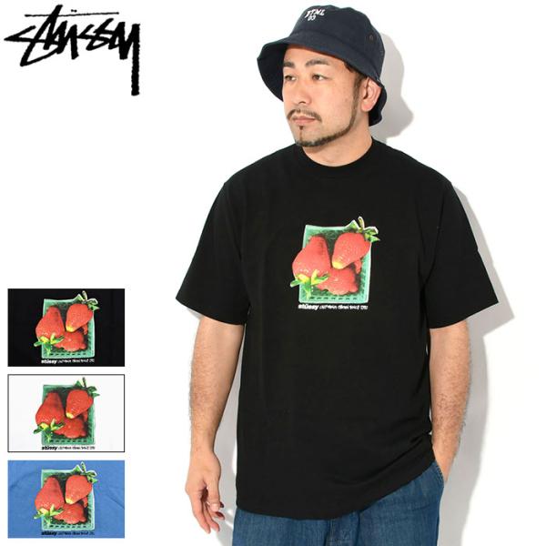 ★ STUSSY ★ BERRIES TEE T-shirt 半袖Tシャツ STUSSY ステューシー Tシャツ 半袖 メンズ Berries ( stussy tee