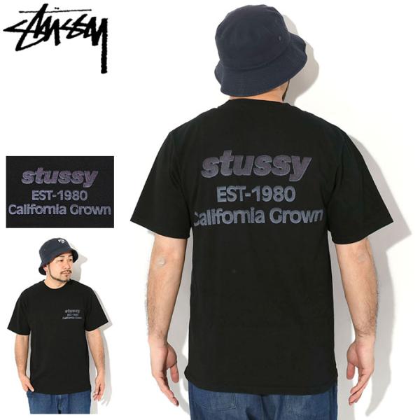 STUSSY（ステューシー） Tシャツ 半袖 メンズ California Grown