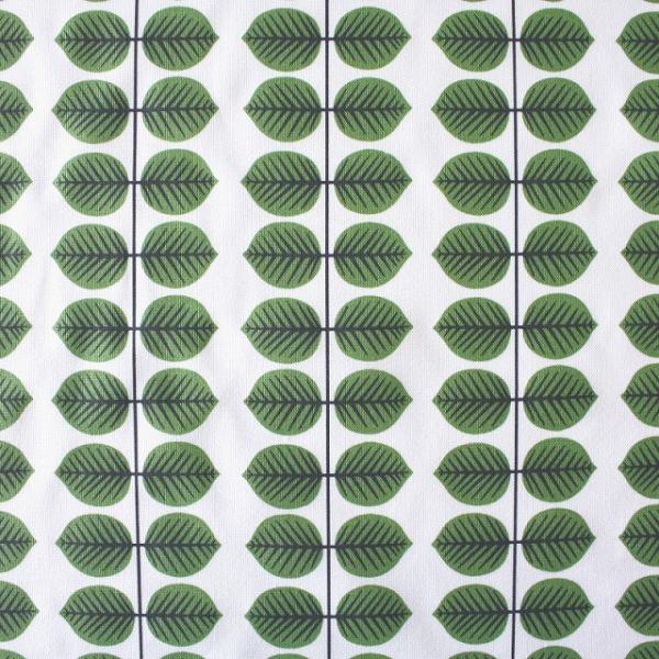 on z 10cmP Jbg̔ BERSA xT tϕ O[  n Ljungbergs XeBO hx k pl