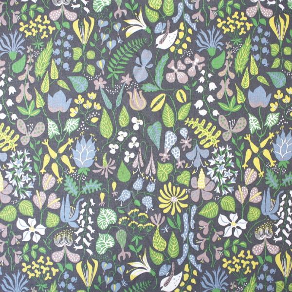 o n z Herbarium n[oE O[ A ԕ Ljungbergs k XeBO hx pl