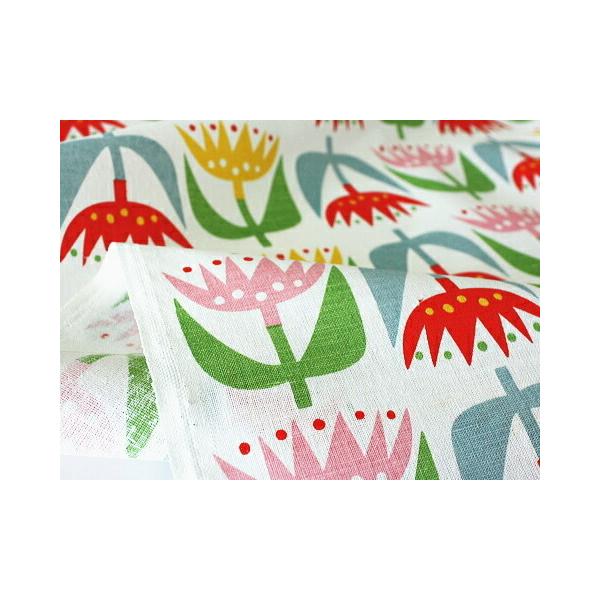 Nbp n z TULIP `[bv 10cmP ԕ Rbgl t@ubN k