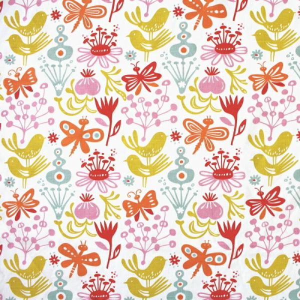 Nbp n z Butterfly o^tC 傤 zCg Rbgl t@ubN k