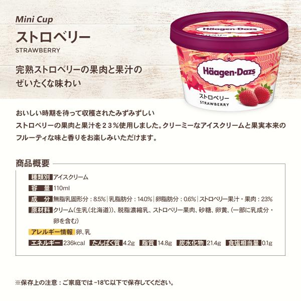 ギフト プレゼント ハーゲンダッツ 安心の実績 高価 買取 強化中 ミニカップ１２個 セット Hd 12n 6種類のフレーバー