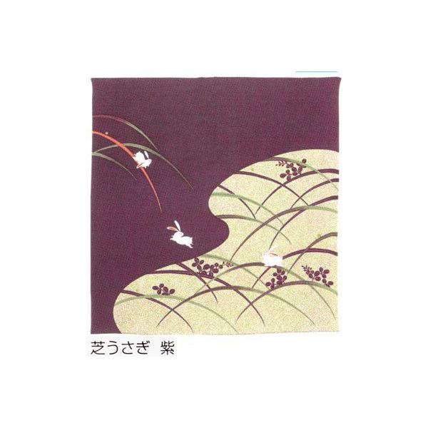 aG݁@C~@߂@ł@@Ђӂ낵70cm@֗ŃGRȘa