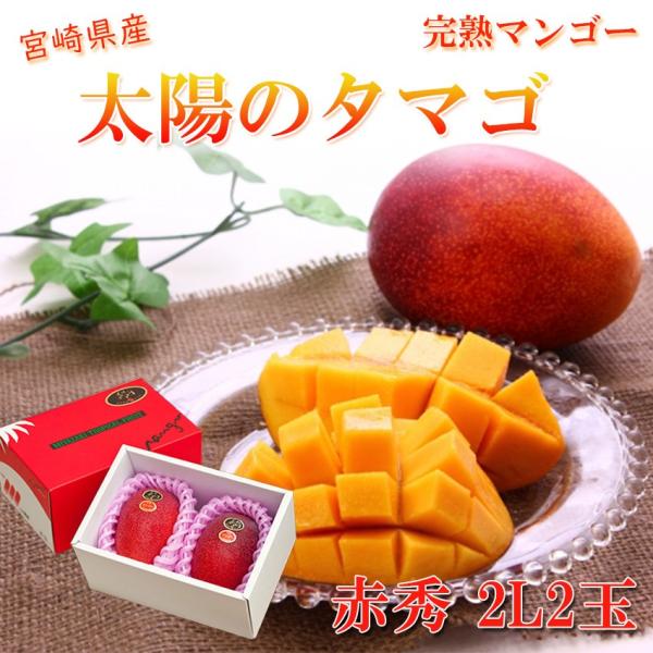 モコママ様】専用・赤360g2袋✨≪リクエスト特割特価≫ モコママ様