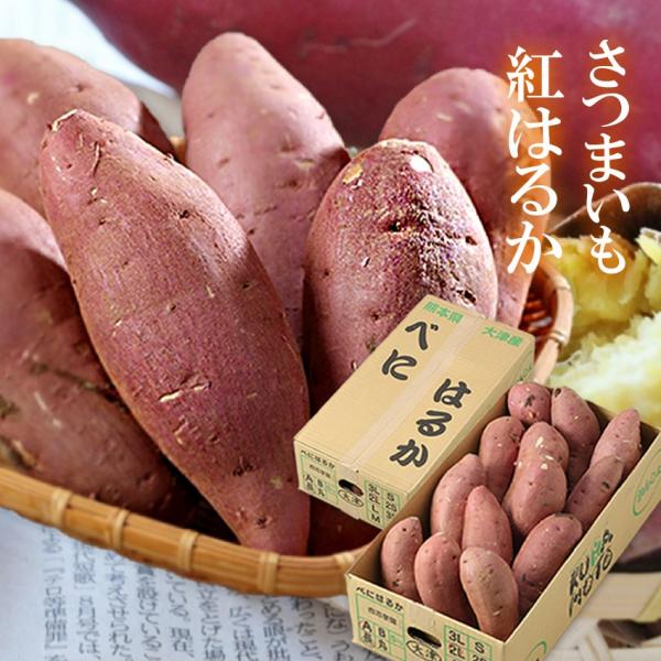 ichiba-koubou_beniharukal3l2-01 ichiba-koubou_beniharukal3l2-01