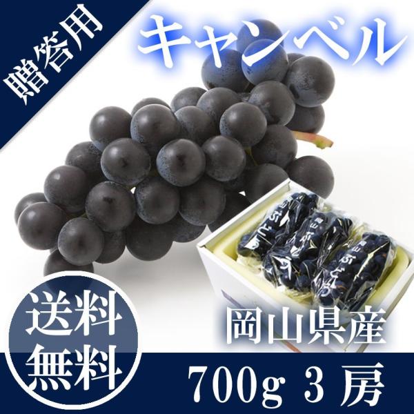 岡山県産 キャンベル 秀品 ３房（約230g×3）希少 葡萄 ぶどう ブドウ ギフト 父の日 夏ギフト お中元 プレゼント 御礼 御祝 御供 果物 くだもの フルーツ