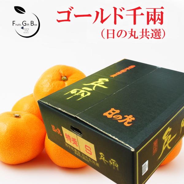 [Release date: January 9, 2026]■品種:温州みかん■商品内容: 贈答用向き 1箱■原産地: 岡山中央卸売市場に入荷する全ての産地■配送日指定可※天候等の理由によりお届け時期が変更・キャンセルとなる場合がございま...